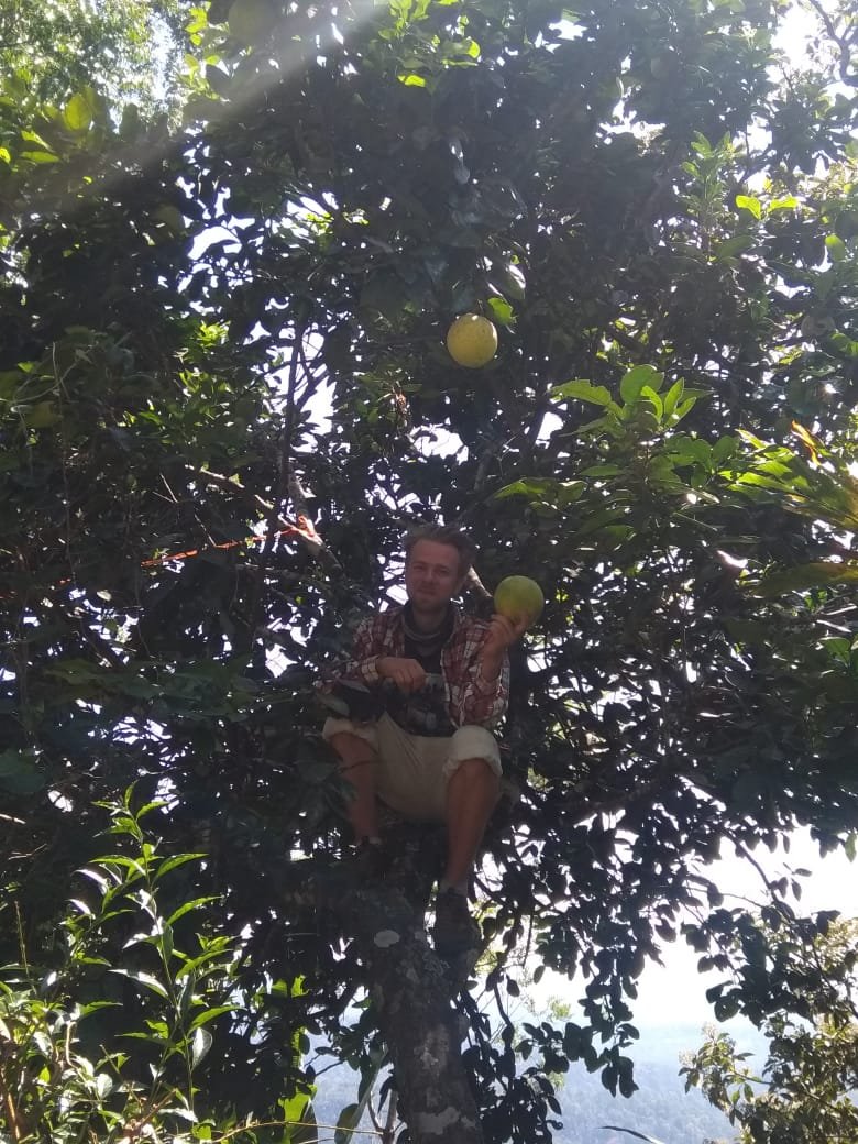 Challenging mountain trek